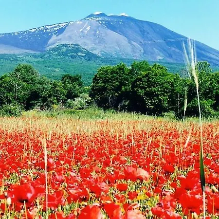 Etna Gemini Privatunterkunft *